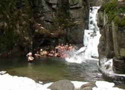 nowy album - Andrzej ¦wiêtek