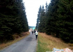 Orle -